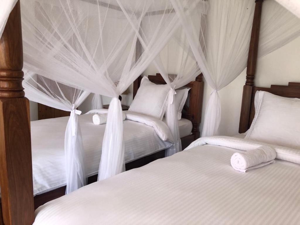 Bird Of Paradise Eco Lodge 阿鲁沙 外观 照片