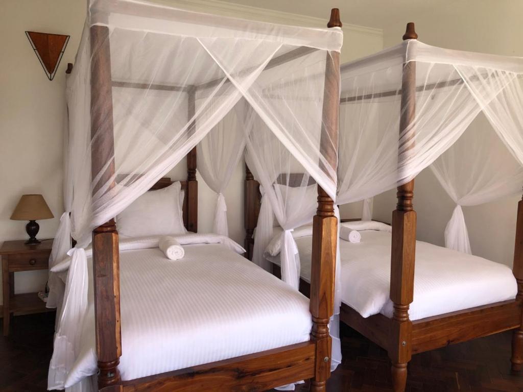 Bird Of Paradise Eco Lodge 阿鲁沙 外观 照片